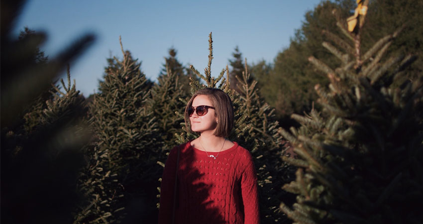Where to Get a Real Christmas Tree Around Ann Arbor, Michigan, Mapped